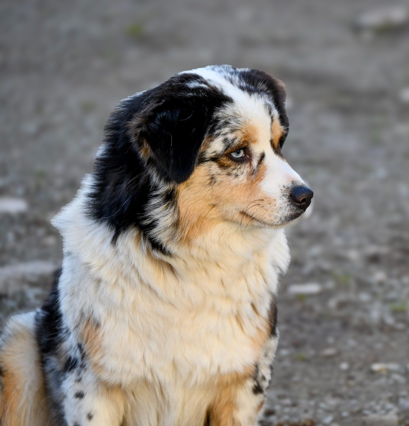 Vogue of fashion Du Domaine Des Perles D'Ambène