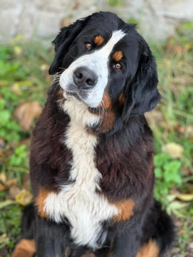 bern haus on oka Pirrita