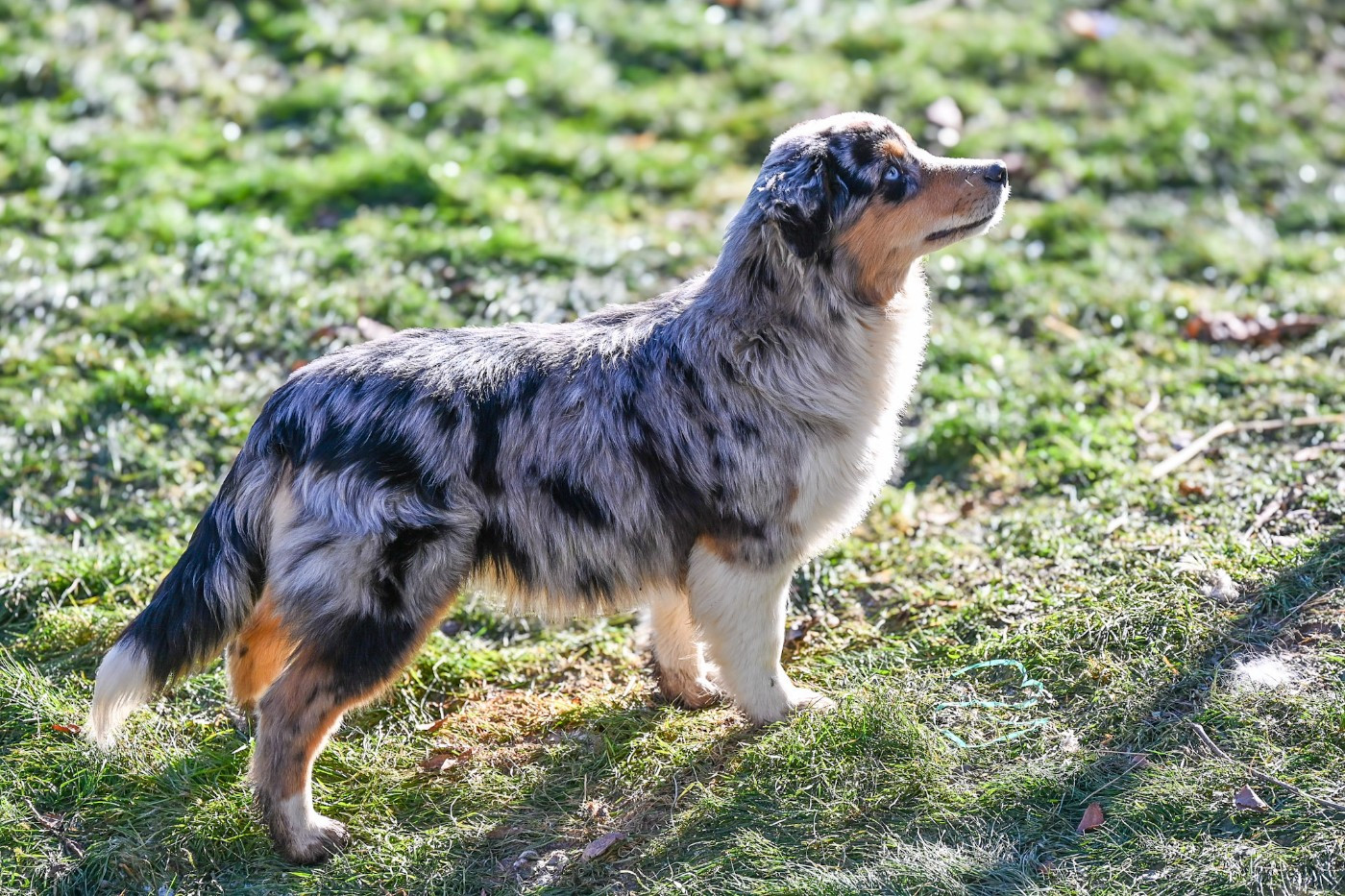 Appy Love du Domaine des Perles de la Riviera